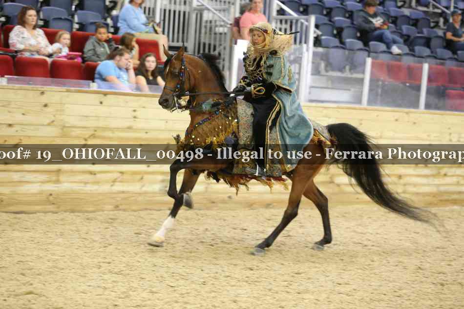 Proof 19_OHIOFALL_00498