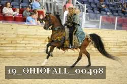 19_OHIOFALL_00498 proof