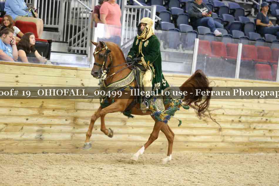Proof 19_OHIOFALL_00499