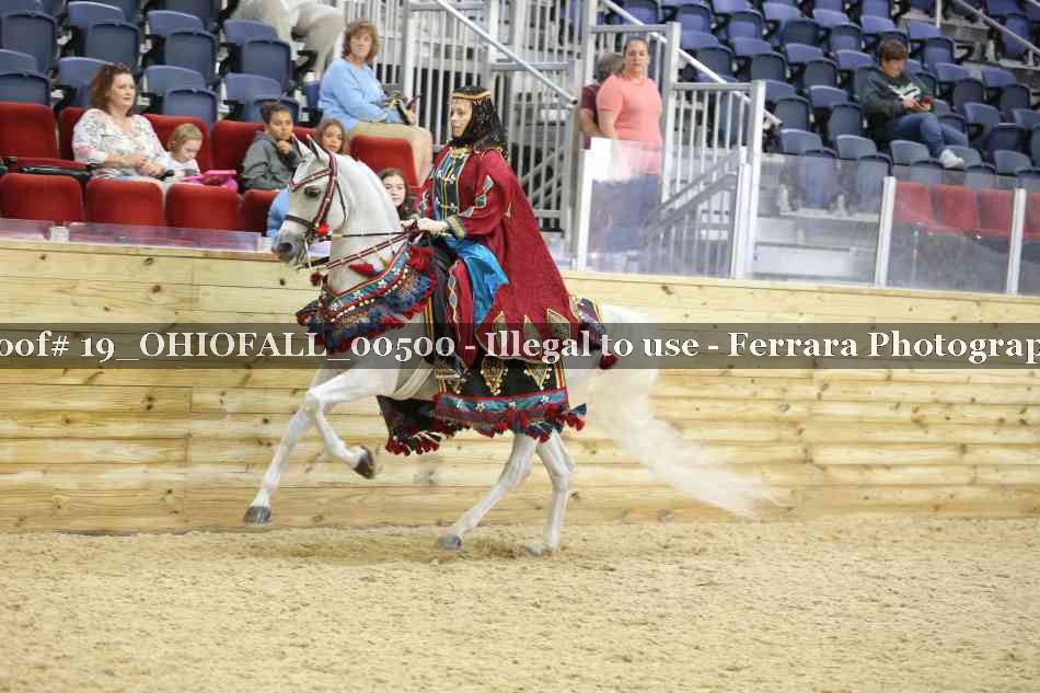 Proof 19_OHIOFALL_00500