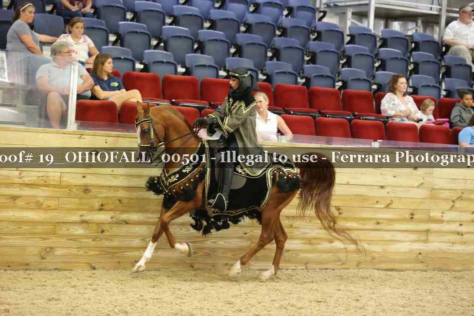 Proof 19_OHIOFALL_00501
