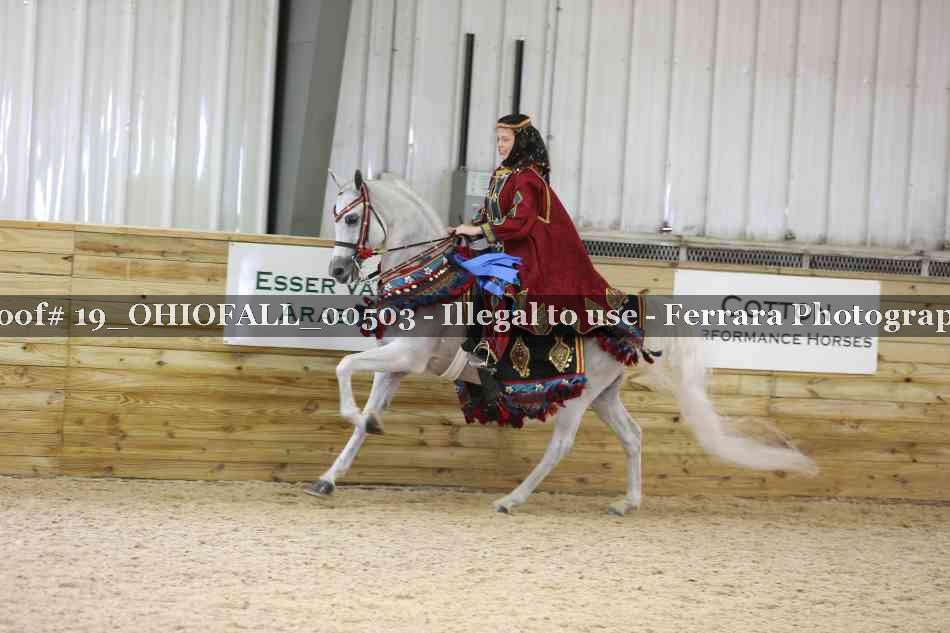 Proof 19_OHIOFALL_00503