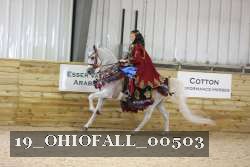 19_OHIOFALL_00503 proof