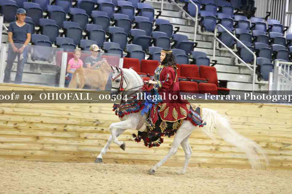 Proof 19_OHIOFALL_00504