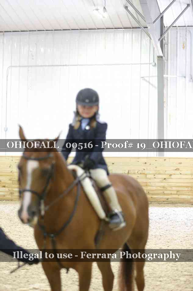 Proof 19_OHIOFALL_00516