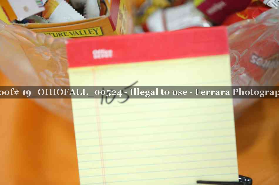 Proof 19_OHIOFALL_00524