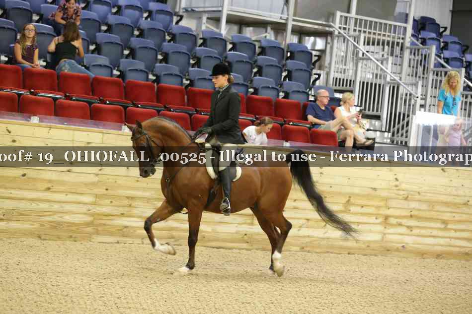 Proof 19_OHIOFALL_00525