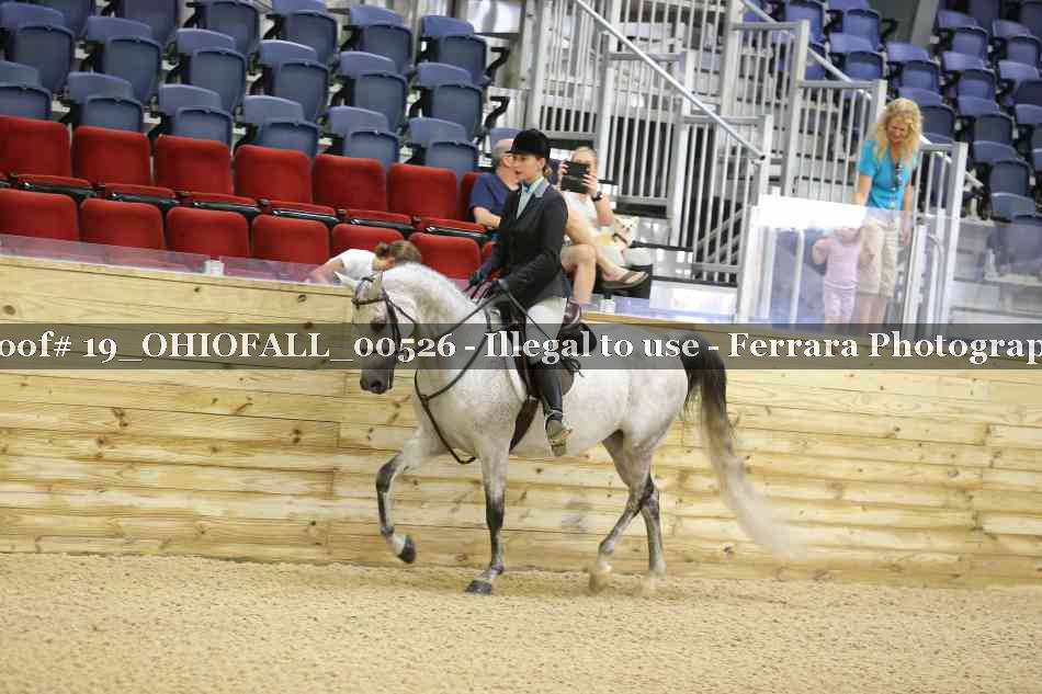 Proof 19_OHIOFALL_00526