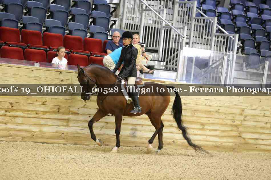 Proof 19_OHIOFALL_00528