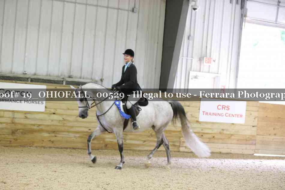Proof 19_OHIOFALL_00529