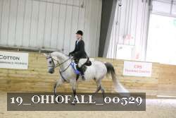 19_OHIOFALL_00529 proof
