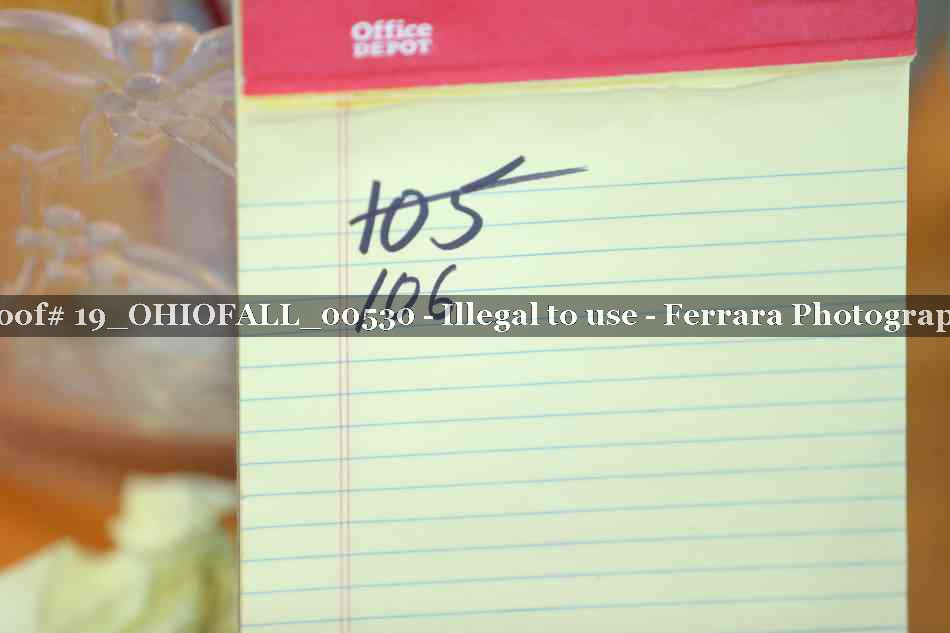 Proof 19_OHIOFALL_00530