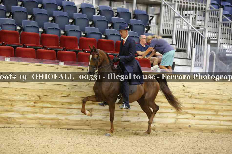 Proof 19_OHIOFALL_00531