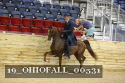 19_OHIOFALL_00531 proof