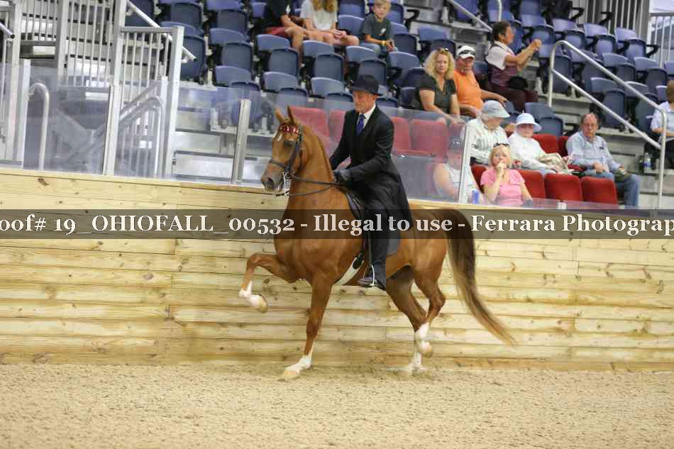 Proof 19_OHIOFALL_00532