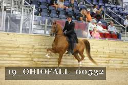 19_OHIOFALL_00532 proof