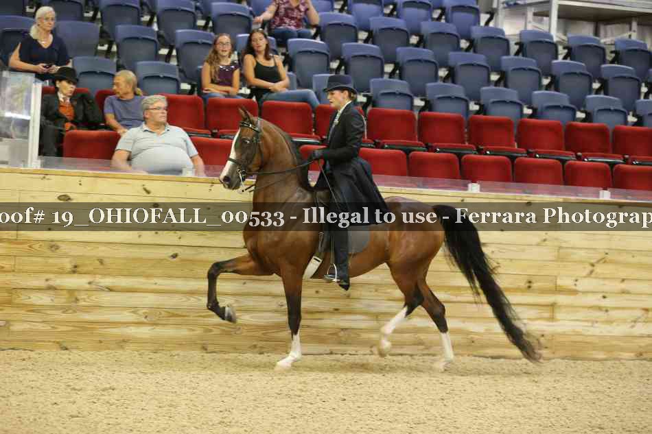 Proof 19_OHIOFALL_00533