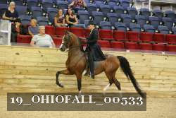 19_OHIOFALL_00533 proof