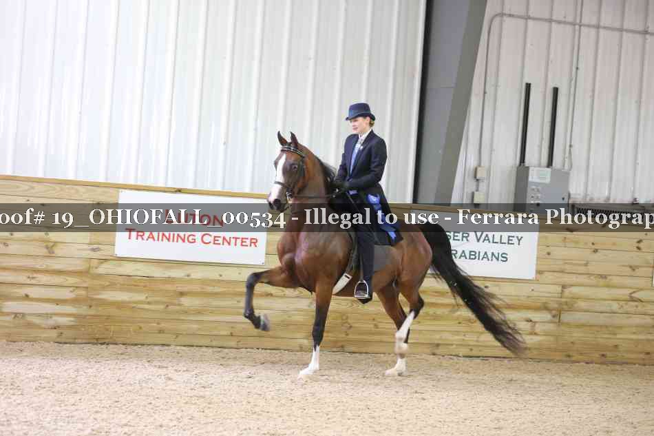 Proof 19_OHIOFALL_00534