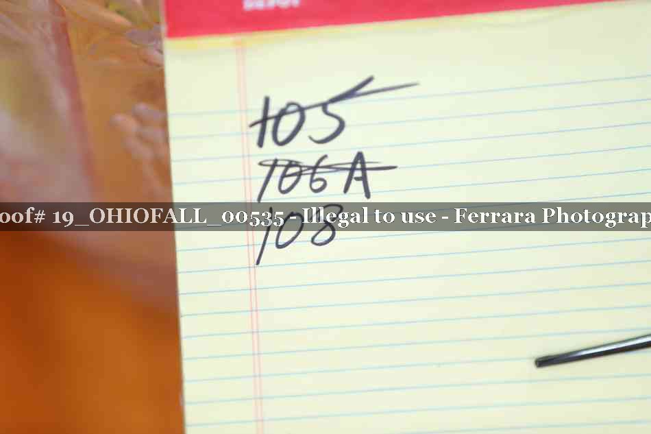 Proof 19_OHIOFALL_00535