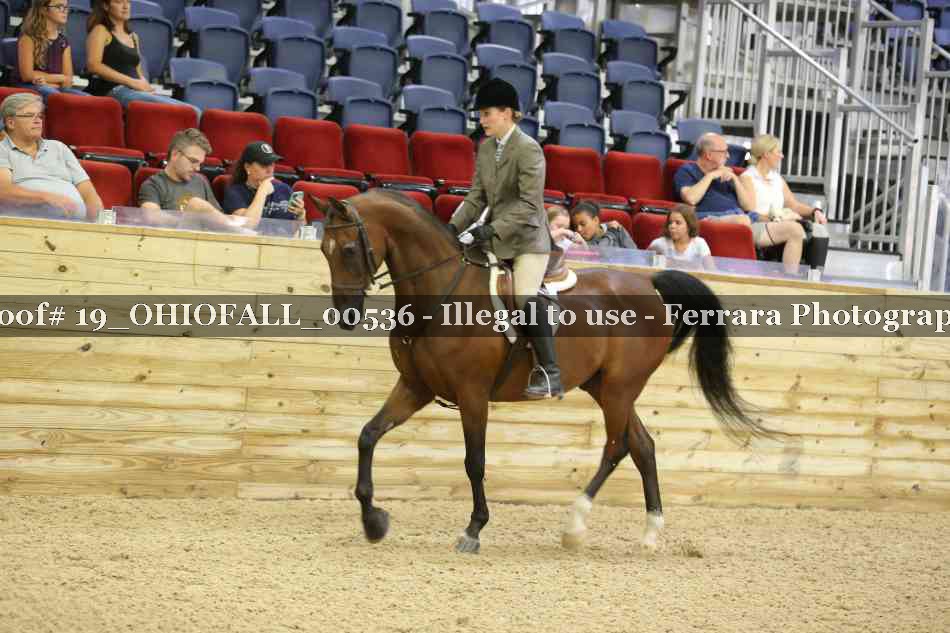 Proof 19_OHIOFALL_00536