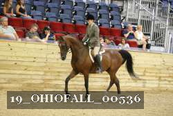 19_OHIOFALL_00536 proof