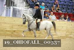 19_OHIOFALL_00537 proof