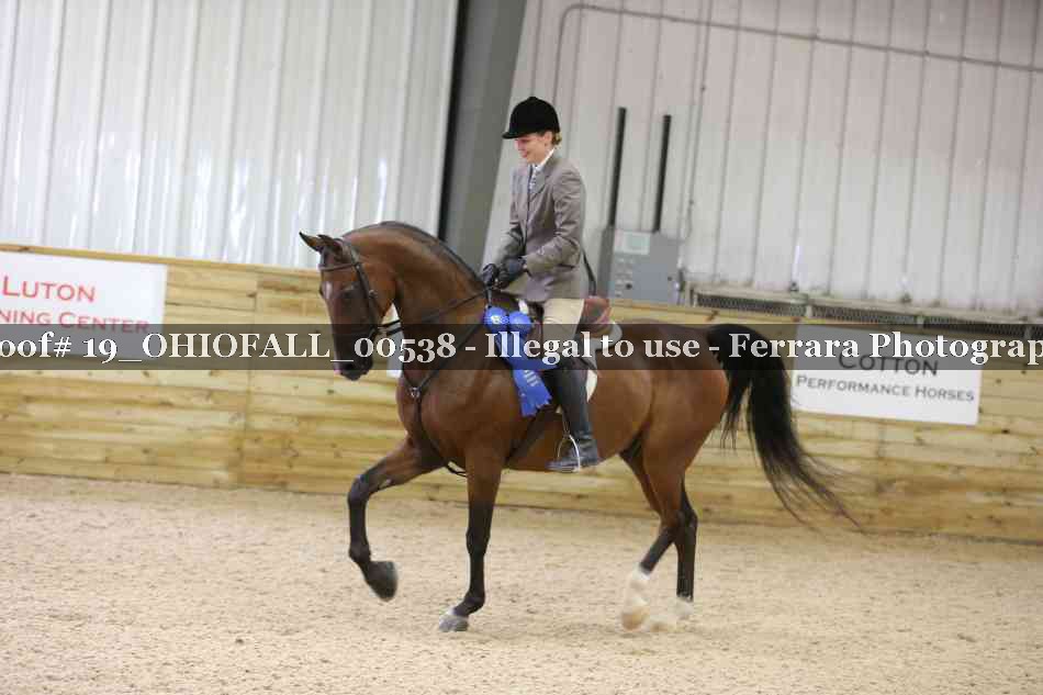 Proof 19_OHIOFALL_00538