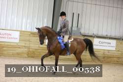 19_OHIOFALL_00538 proof