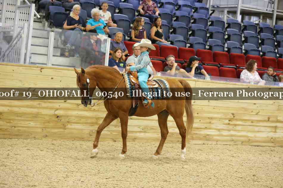 Proof 19_OHIOFALL_00540