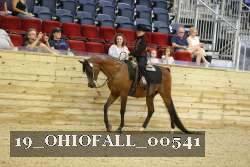 19_OHIOFALL_00541 proof