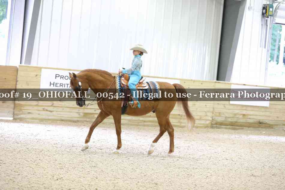 Proof 19_OHIOFALL_00542
