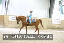 19_OHIOFALL_00542 proof