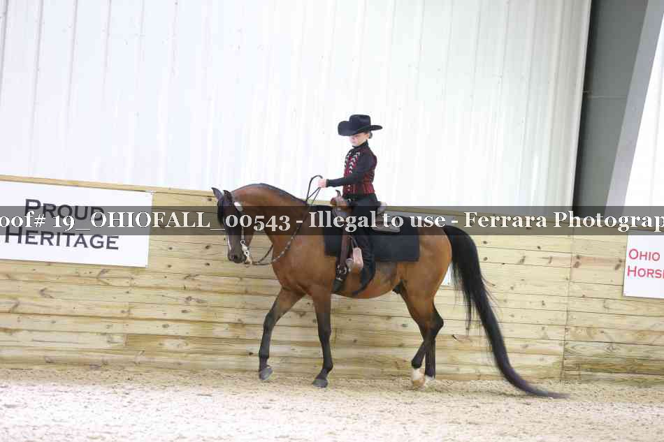 Proof 19_OHIOFALL_00543