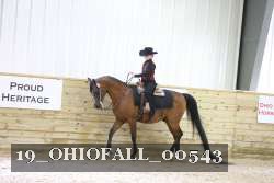 19_OHIOFALL_00543 proof