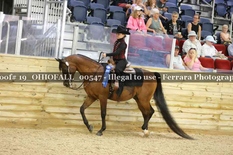 Proof 19_OHIOFALL_00547
