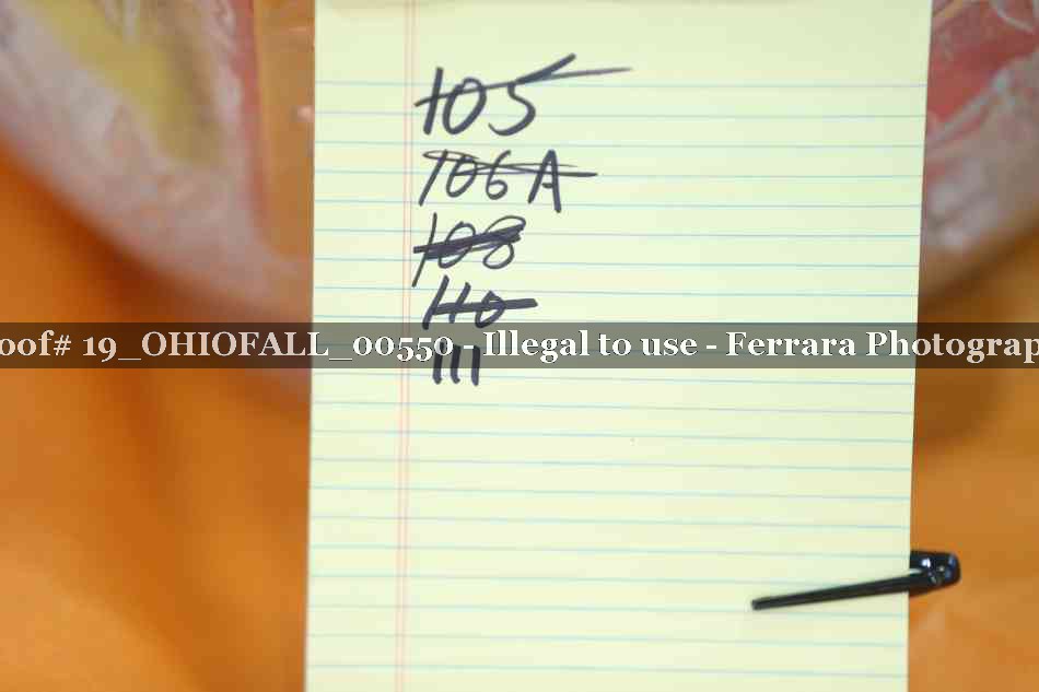 Proof 19_OHIOFALL_00550