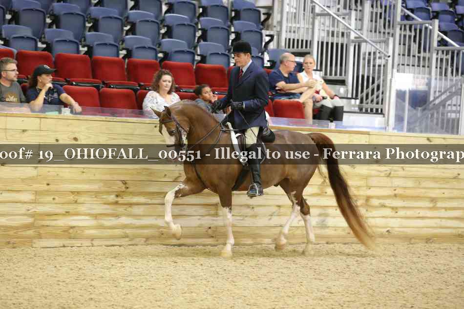 Proof 19_OHIOFALL_00551