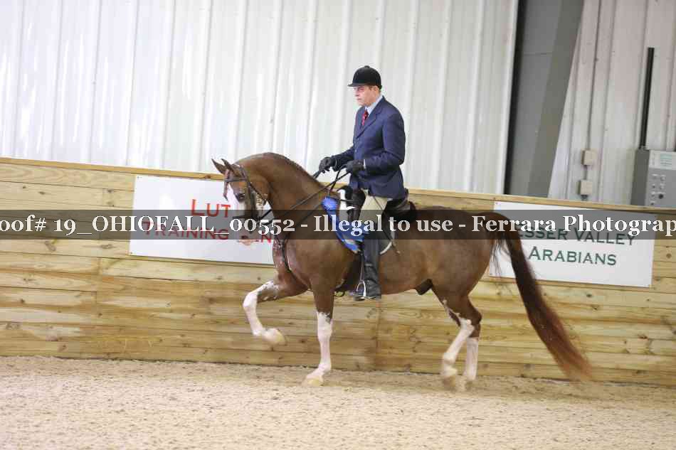 Proof 19_OHIOFALL_00552