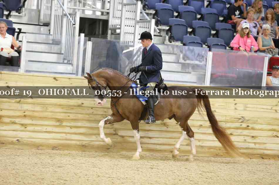 Proof 19_OHIOFALL_00553