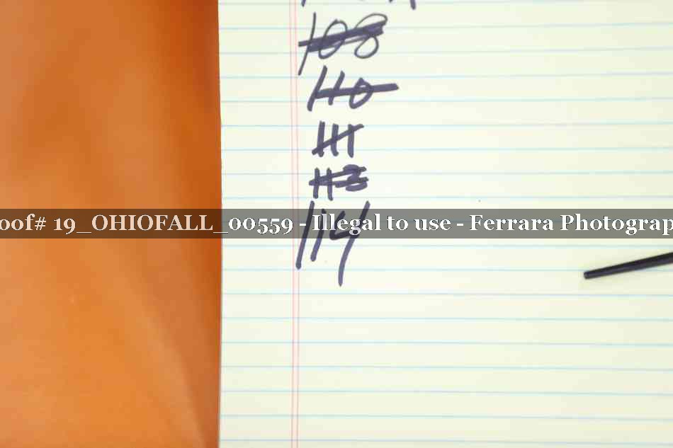 Proof 19_OHIOFALL_00559