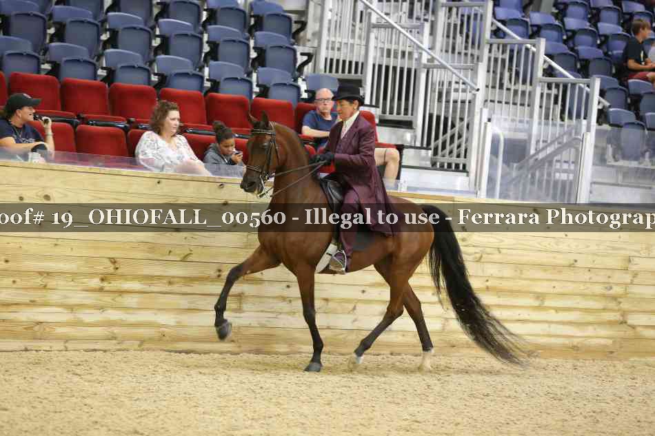 Proof 19_OHIOFALL_00560