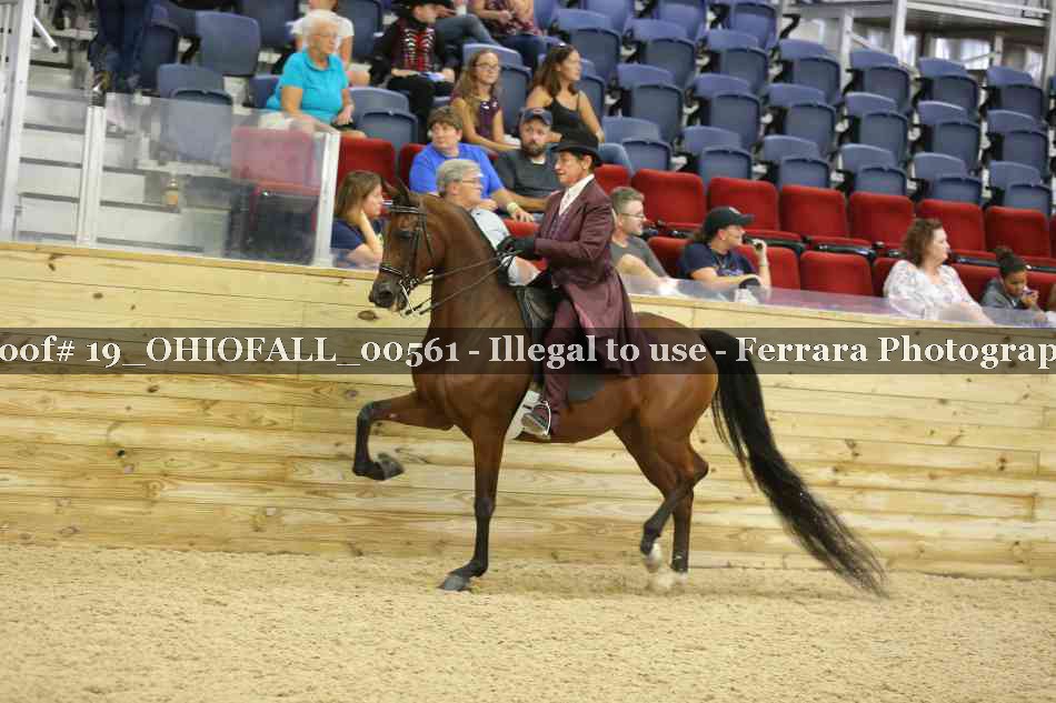 Proof 19_OHIOFALL_00561