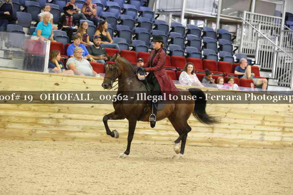 Proof 19_OHIOFALL_00562