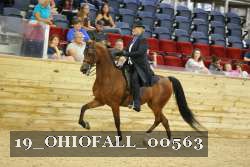 19_OHIOFALL_00563 proof