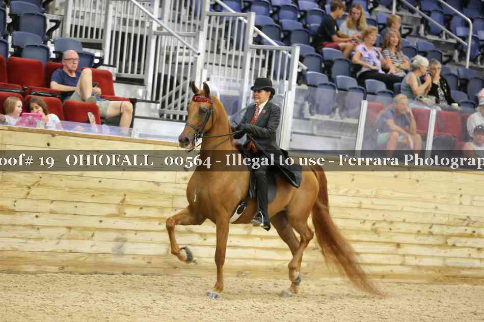 Proof 19_OHIOFALL_00564