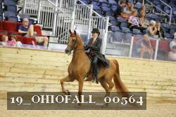 19_OHIOFALL_00564 proof