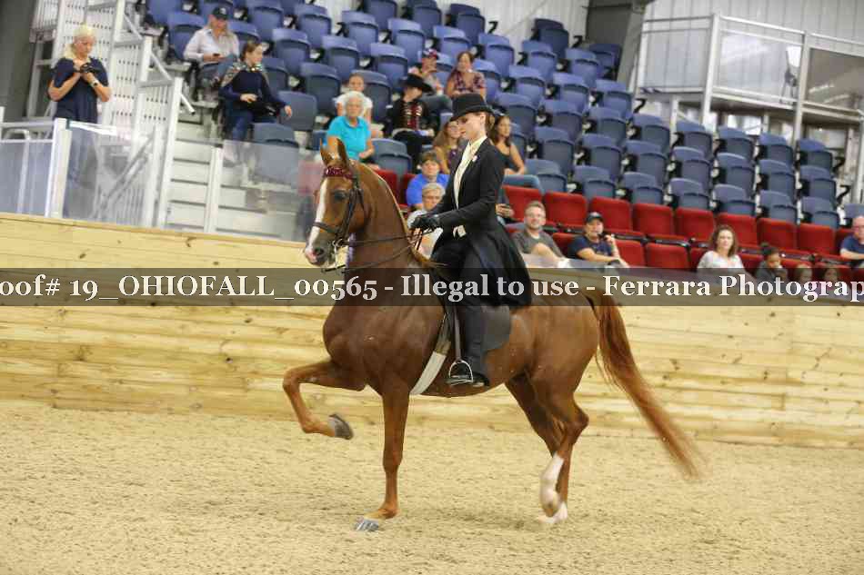 Proof 19_OHIOFALL_00565