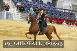 19_OHIOFALL_00565 proof