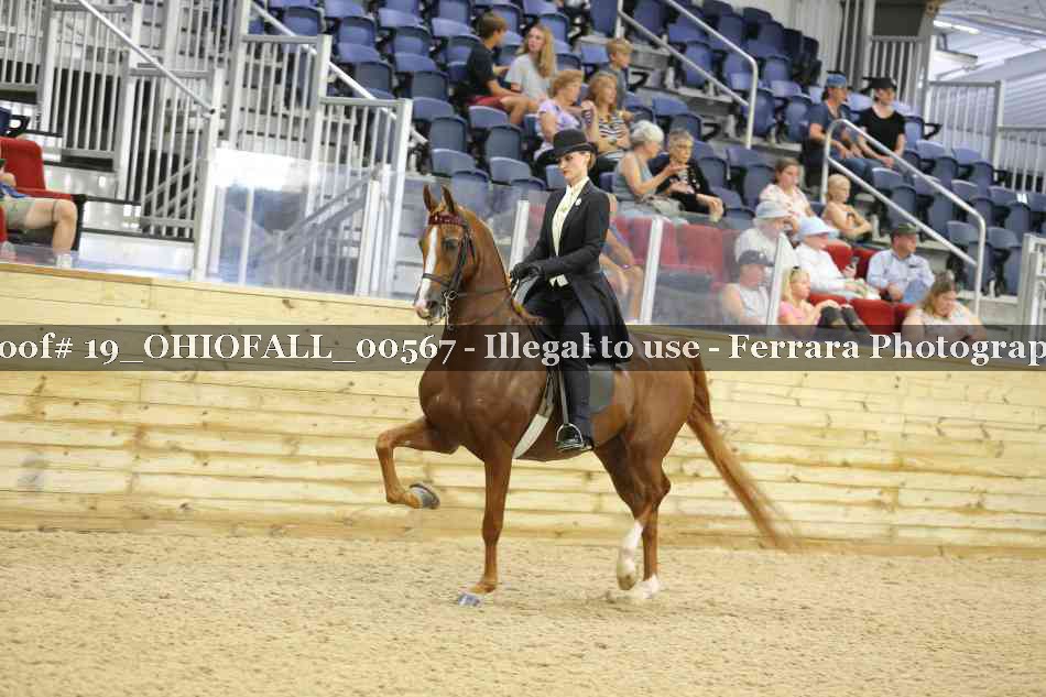 Proof 19_OHIOFALL_00567